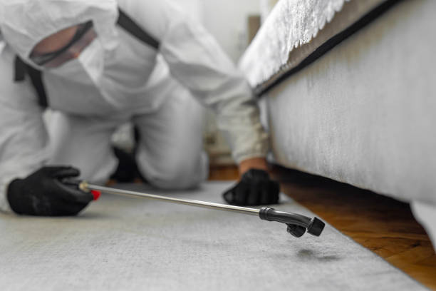 Professional Cockroach Control technician working in Westbury, NY