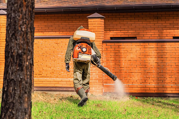 Trusted Mosquito Control service in Westbury, NY - Nex Pest Control